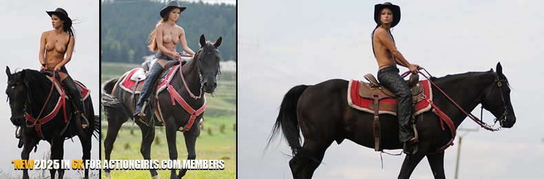 OVER 2 MILLION IMAGES AND 2000 VIDEOS FOR MEMBERS